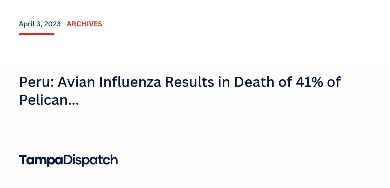 Peru: Avian Influenza Results in Death of 41% of Pelican Population
